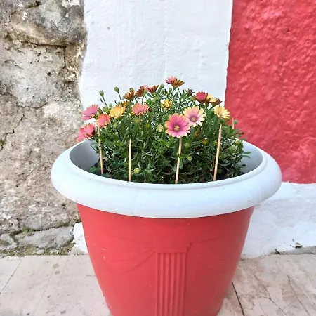 Penelope's Street Old House Apartment Lefkada City