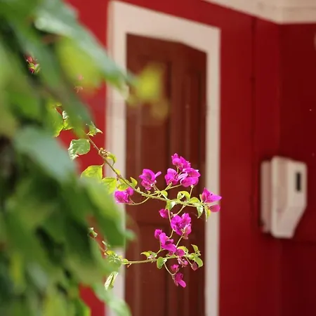Penelope's Street Old House Apartment
